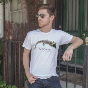 Diseño web y Comunicación en Paraná, Cáceres y Badajoz
